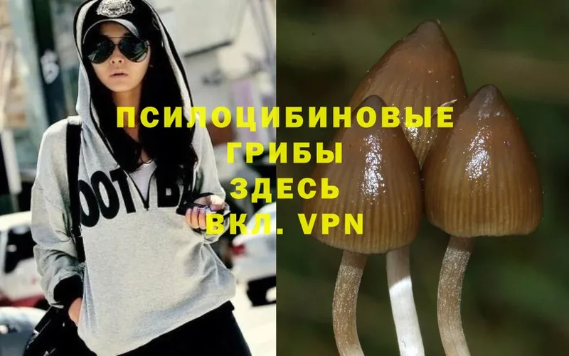 Галлюциногенные грибы MAGIC MUSHROOMS  mega сайт  Волоколамск 